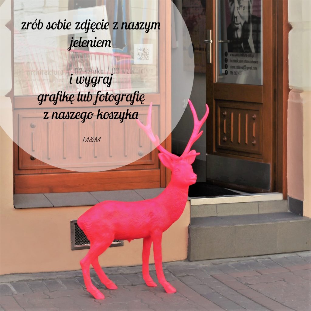 KONKURS